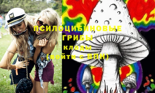 тгк Аркадак