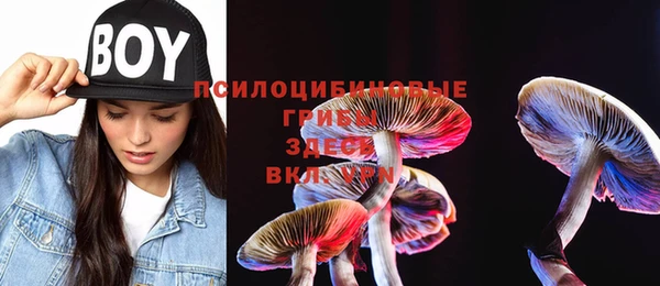 тгк Аркадак