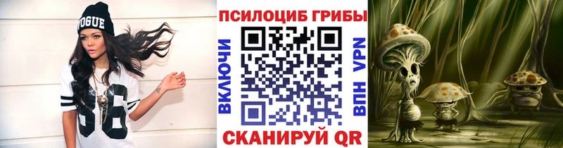 Купить где  Шахты  Галлюциногенные грибы GOLDEN TEACHER 